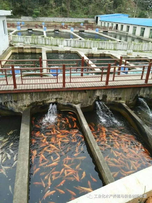我們要養(yǎng)魚,我們也要環(huán)保,工廠化水產(chǎn)養(yǎng)殖系統(tǒng)備受關(guān)注