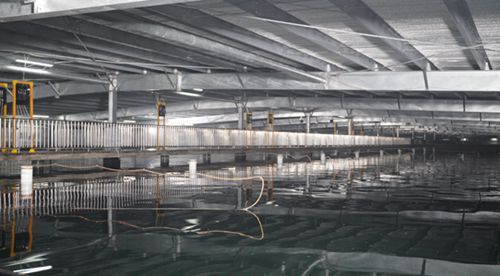 水產(chǎn)養(yǎng)殖用投入品專項整治啟動,海璟水產(chǎn)為消費者開啟 安全模式