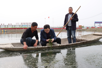 科技助力引領(lǐng)鄉(xiāng)村振興新發(fā)展 志愿服務(wù)激發(fā)水產(chǎn)養(yǎng)殖新動(dòng)能