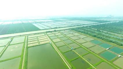 科技要聞-廣州市科學(xué)技術(shù)協(xié)會(huì)