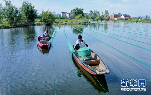 水鄉養珍珠 帶富一方人