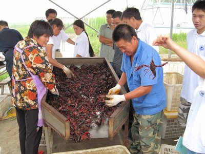 專家來武漢蝦龍水產(chǎn)養(yǎng)殖開發(fā)開展龍蝦養(yǎng)殖技術(shù)研發(fā)工作