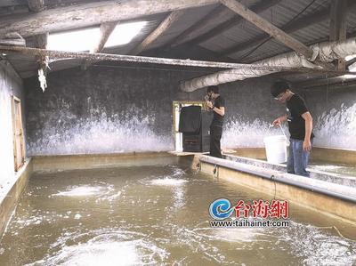 中俄(工業(yè))創(chuàng)新大賽中國賽區(qū)選拔賽在廈舉行