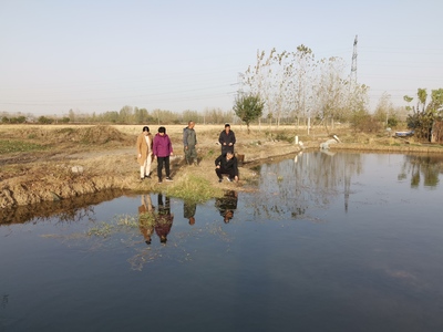 省體系專家赴鳳臺(tái)縣調(diào)研指導(dǎo)小龍蝦產(chǎn)業(yè)發(fā)展