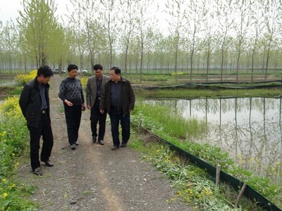 專家來武漢蝦龍水產養殖開發開展龍蝦養殖技術研發工作
