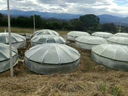 水產養殖邁入科技養殖時代 低碳節能高速增氧機 手機遠程操控