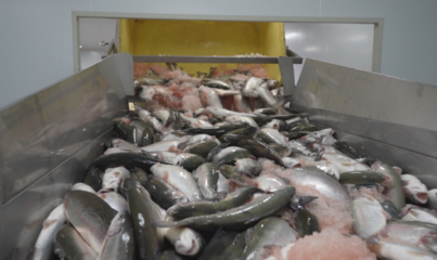 新年&ldquo;開門紅&rdquo;|尼勒克:科技賦能漁業發展 繪就鄉村振興圖景