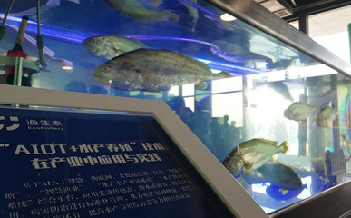 農(nóng)創(chuàng)客&ldquo;論劍&rdquo;余杭 獲勝者將獲百萬資助