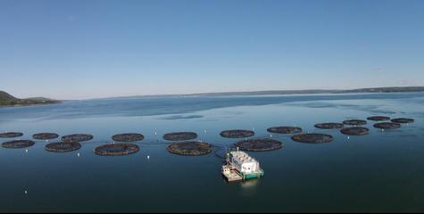 福建國(guó)際朋友圈之美洲篇--走進(jìn)&ldquo;加拿大海洋游樂(lè)場(chǎng)&rdquo;新斯科舍省