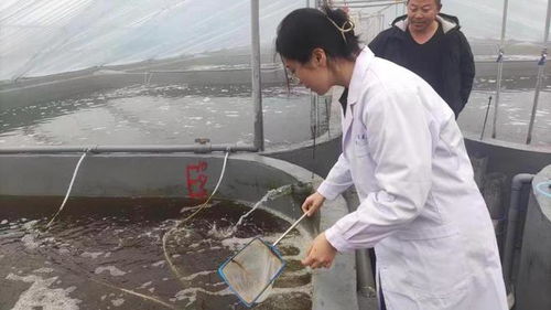 研發(fā)新型水產(chǎn)養(yǎng)殖殺菌劑,濟南大學團隊獲 挑戰(zhàn)杯 金獎