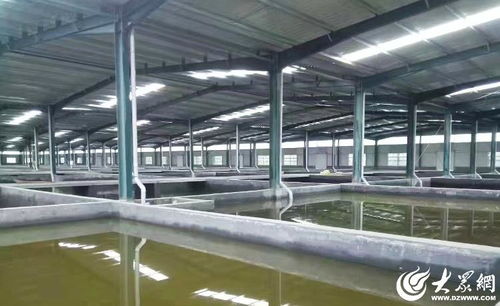 菏澤 水產(chǎn)綠色健康養(yǎng)殖 五大行動 助推漁業(yè)養(yǎng)殖轉(zhuǎn)型升級