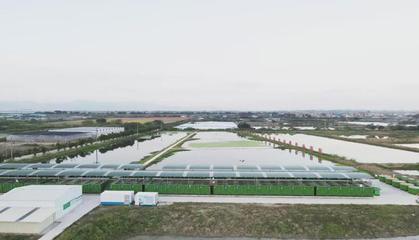 犀利!肇慶這兩個(gè)地方入選省級(jí)名單~