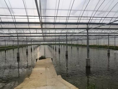 這個(gè)&ldquo;85后&rdquo;退役軍人在三星鎮(zhèn)把小龍蝦做成了大生意?你認(rèn)識(shí)他嗎?