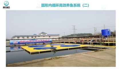 跑道養(yǎng)魚-智慧農(nóng)研-漁樂仙宮