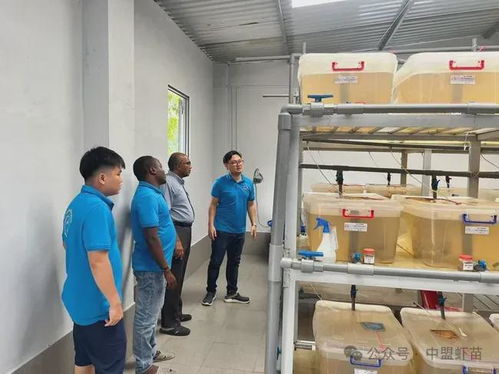 水產(chǎn)養(yǎng)殖界又出新利器 原來從椰子提取的這東西,作用原來這么大