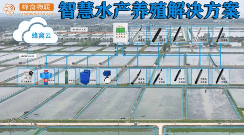 智慧水產(chǎn)養(yǎng)殖傳感器盤點