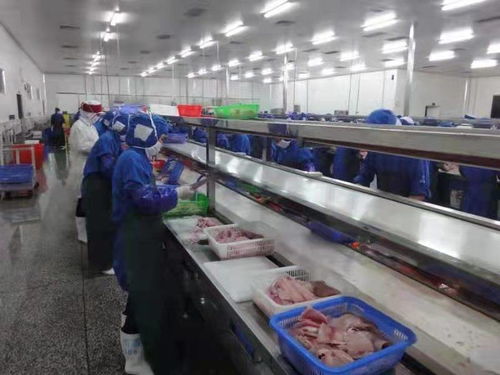 化州全力推動羅非魚產業由大市轉向強市，助力農家樂休閑觀光服務升級