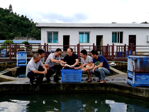 依托青山綠水 貴州特色水產體系的多重效益與技術研發